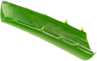 成分