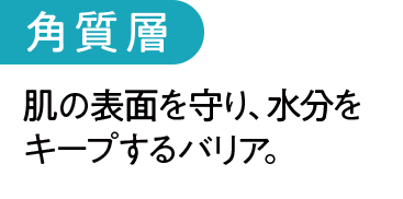 角質層