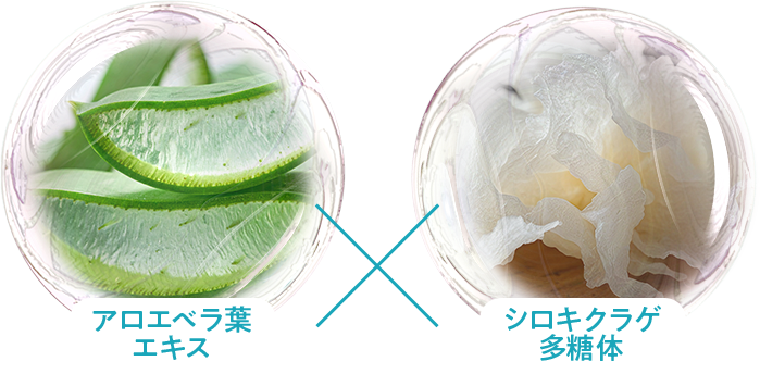 アロエベラ葉エキス シロキクラゲ多糖体