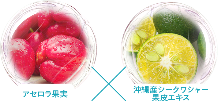 アセロラ果実 沖縄産シークワシャー果皮エキス