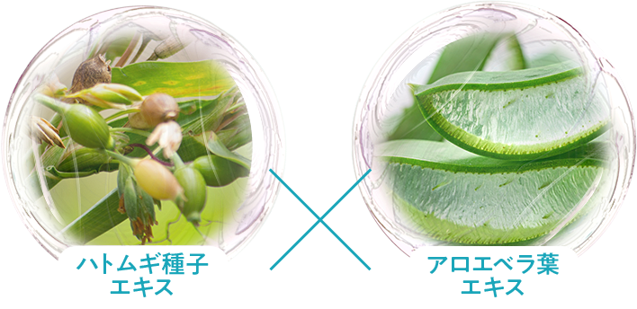 ハトムギ種子エキス アロエベラ葉エキス