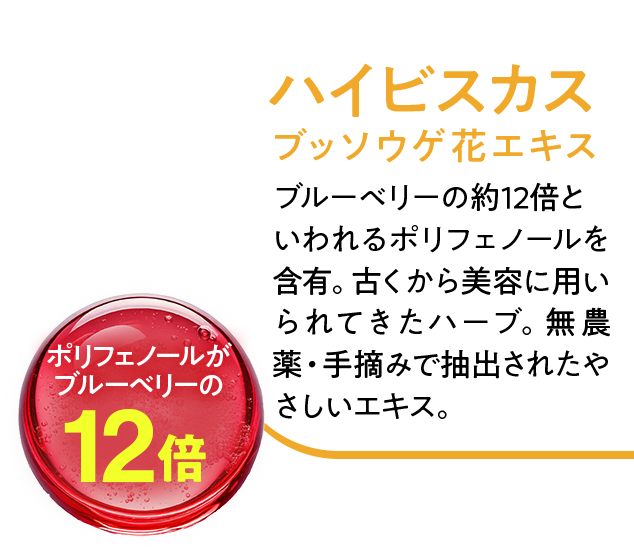 ハイビスカス ブッソウゲ花エキス