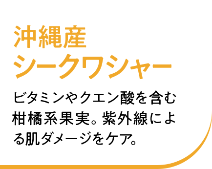 沖縄産シークワシャー