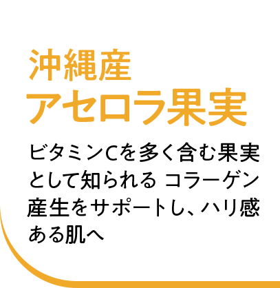 沖縄産アセロラ果実